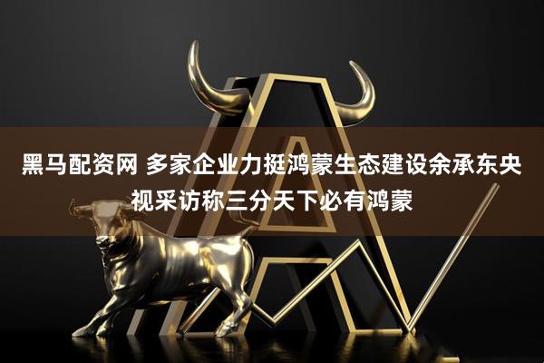 黑马配资网 多家企业力挺鸿蒙生态建设余承东央视采访称三分天下必有鸿蒙