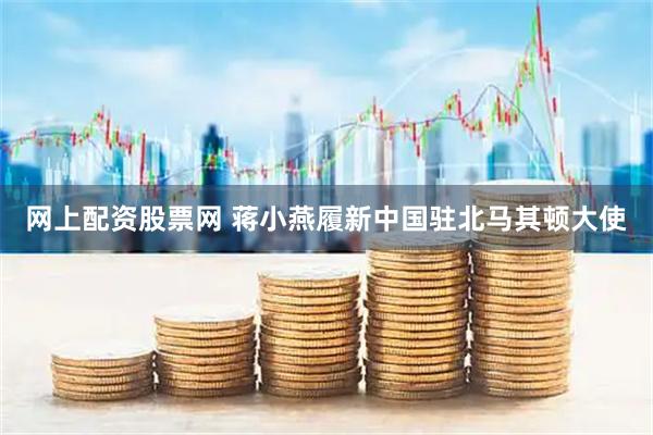 网上配资股票网 蒋小燕履新中国驻北马其顿大使