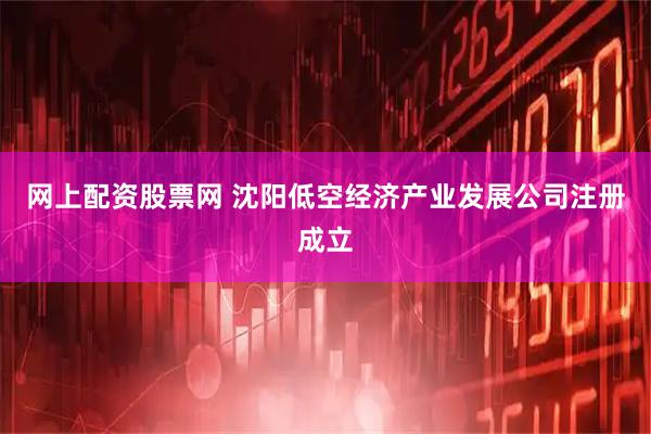 网上配资股票网 沈阳低空经济产业发展公司注册成立